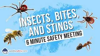 Safety Meeting on Insects, Bites, and Stings