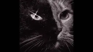 DEEDOT X JIM LEGXACY TYPE BEAT 