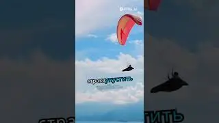 Что такое FOMO и FUD в крипте #crypto #fomo #fude #bitcoin