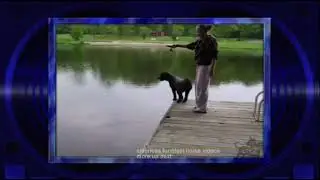 AFV S22E11 Video Remix (LTV2 Airing)