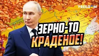 ВОРУЮТ безбожно! РФ НЕЗАКОННО вывозит украинское зерно