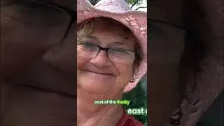 Camping Adventures: PA & Upstate New York