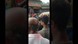 Eid al-Adha Cattle Bazaar: Vibrant Traditions in Bangladesh 🐄 #shorts #travel #viral #trending