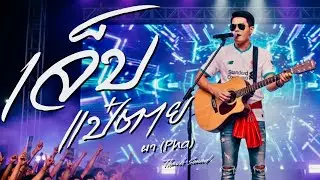 มันเจ็บแป๋ตาย (กะส่างหัวมัน)  - ผา (Pha) | เพลงอีสานสะท้อนใจ 2026 [Official Audio] | Thach Sound