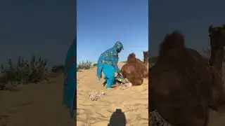 Camel fast 🤣 sounds style 🤣 village life 😁
