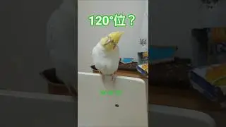 ピー先生の算数／How many degrees is the angle?