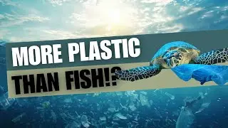 The Shocking Truth About Plastic Pollution &ndash; What You Need to Know!