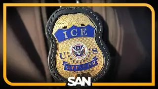 200 child sex offenders nabbed by ICE in Houston immigration crackdown