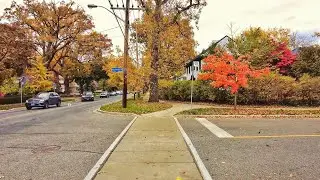 Toronto Walk - The Kingsway, Etobicoke