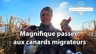 R&eacute;sum&eacute; d&rsquo;une magnifique pass&eacute;e aux canards migrateurs