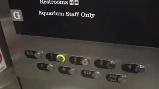 Interesting Large Otis Series 2 Traction Elevator - National Aquarium - Baltimore, MD