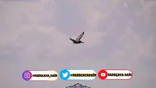 &Acirc;dil&acirc;ne Değil   Reza Bahram   Fars&ccedil;a Şarkı   T&uuml;rk&ccedil;e Altyazılı