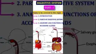 HAP II DIGESTIVE SYSTEM    PART I @  PHARMA PRO EDU