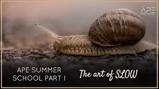 The art of living slowly