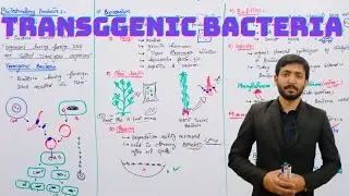 Transgenic Bacteria (Biotechnology Products) | Biology 12th | Chapter 23 Biotechnology | Lecture 8
