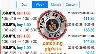 WuCrypto takes a lost with hextracoin but we still catching pip's