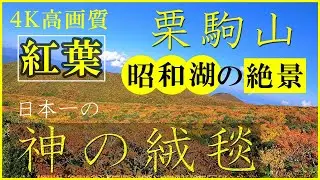 【4K 栗駒山登山】紅葉の超絶景『神の絨毯』！そして、期間限定解禁の『昭和湖』。山を染め上げる景色とともに須川コースを全紹介。週末登山の予習にも！