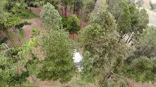 Illegal Construction at Wynne Farm Ecological Reserve, Haiti
