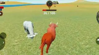 Angry Bull simulator fight with other animals||Amazing 56M Bull Tauro||Angry Animals 766M