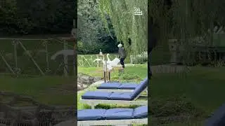 Woman Messes With Swan And Swan Fights Back