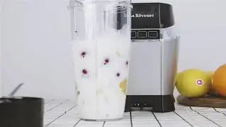 La Reveuse smoothie blender 100 Watts