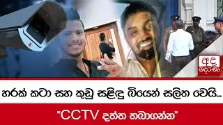 හරක් කටා සහ කුඩු සළිඳු බියෙන් සලිත වෙයි... 