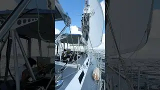 The best cruising experiences on earth. #familyvlog #survivalists #short
