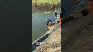 The true life of Asian people trying to fishes #water #fishing #fishingworld #bigfish