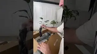#unboxing flash visico VE 300 plus por @pabloph.sv @elclub.digitalhouse