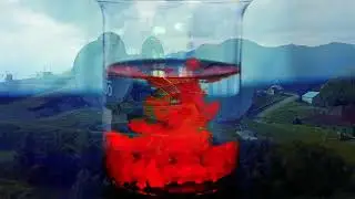 Fake Bloom - Reel Tape