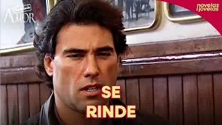 Rodrigo decide cancelar la búsqueda de Gaviota | Destilando Amor