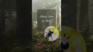 Animal Totem Abeja