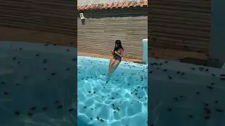 PISCINA COM BARATAS 🪳 #shorts