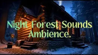 Night Forest sounds and ambience #ambience #forestsounds #ambiencevideo #naturesounds #stressrelief