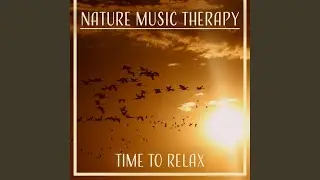 Chill Therapy Music