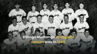 Retrospective: A look at the storied history of the Billings Mustangs