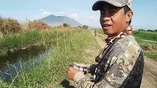 tilapia hunting nakarame ng pang ulam /tiksay fishing using air gun