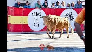 PRIMER ENCIERRO DE OLIAS DEL REY 2024
