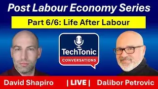 PLE Part 6/6: Finding Meaning in a World Without Jobs | David Shapiro & Dalibor Petrovic