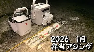 アジング　新ポイント巡り　高台にて良型ゲット