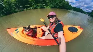 First Time Kayaking with My Anxious Dog
