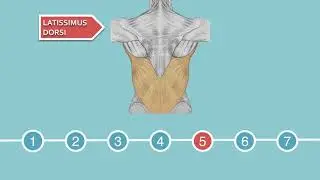 Anatomy: Introduction to your first lab #anatomy #ubcmedicine