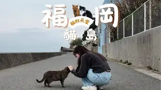 🇯🇵福岡自由行 2025｜😻相島貓島超療癒 · 相島交通 teamLab森林 福岡光影展🎇 ·⚾棒球熱血體驗  · 😋米其林一星法餐享受 