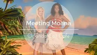 MEETING MOANA | ORLANDO CAT CAFE - Brooke Maglish