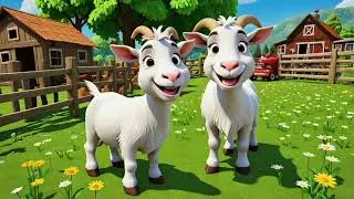 Daisy Hill Goat Farm &ndash; Happy Barnyard Adventure