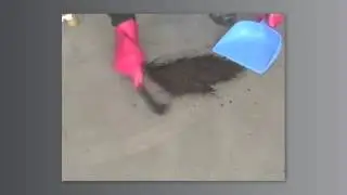 Global Peat