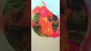 Reden und reden gleich reden! #asmr #satisfying #slime #bier