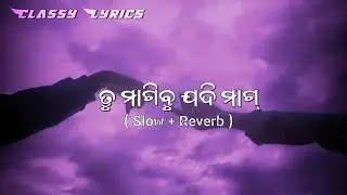 Tu Magibu Jadi Mag |{ Slow + Reverb }| Odia Song | Human sagar | #odiasong #love #lovestatus