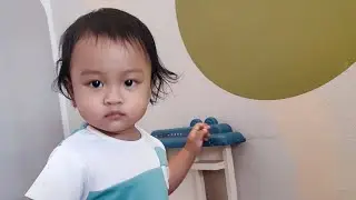 Kanaya selama tahun 2024