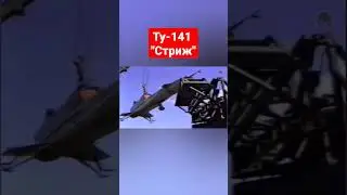 Птичка, которая летит далеко Ту-141 